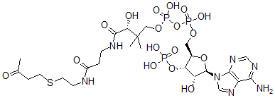 CAS#: 81790-81-0, S-(3-Oxobutyl)Coenzyme A