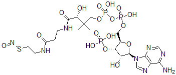 CAS 登录号：82494-50-6， S-亚硝基-辅酶 A