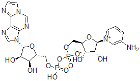 CAS 登录号：82773-63-5， 3-氨基吡啶1,N(6)-乙烯桥腺嘌呤二核苷酸