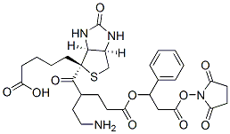 CAS 登录号：83592-07-8， 3-(4-生物素酰基-6-氨基己酰氧基)苯丙酸 N-羟基琥珀酰亚胺酯