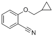 CAS 登录号：83728-40-9， 2-(环丙基甲氧基)苯甲腈