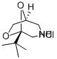 CAS 登录号：84508-88-3， 5-叔-丁基-6,8-二氧杂-3-氮杂双环(3.2.1)辛烷盐酸盐