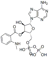 CAS 登录号：85287-55-4， 3'-O-(N-甲基氨茴酰)腺苷 5'-二磷酸酯