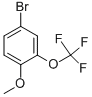 CAS # 853771-88-7, 4-Bromo-2-(Trifluoromethoxy)Anisole