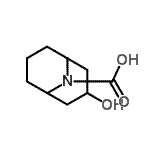 CAS#: 854733-35-0, 3-Hydroxy-9-azabicyclo[3.3.1]nonane-9-carboxylic acid