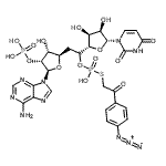 CAS#: 85977-19-1, 9-{(6S)-6-O-[{[2-(4-Azidophenyl)-2-oxoethyl]sulfanyl}(hydroxy)phosphoryl]-5-deoxy-6-C-[(2S,3S,4R,5R)-5-(2,4-dioxo-3,4-dihydro-1(2H)-pyrimidinyl)-3,4-dihydroxytetrahydro-2-furanyl]-2-O-phosphono-beta-D -ribo-hexofuranosyl}-9H-purin-6-amine