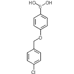 CAS 登录号：870778-91-9， {4-[(4-氯苄基)氧基]苯基}硼酸