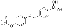 CAS 登录号：870778-97-5， (4-{[4-(三氟甲氧基)苯氧基]甲基}苯基)硼酸