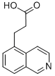 CAS 登录号：87087-28-3， 3-(异喹啉-5-基)丙酸
