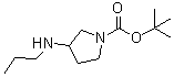 CAS 登录号：887587-20-4， 3-(丙基氨基)吡咯烷-1-羧酸叔丁酯