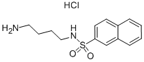 CAS 登录号：89108-46-3， N-(4-氨基丁基)-2-萘磺酰胺盐酸盐