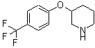 CAS 登录号：902836-91-3， 3-[4-(三氟甲基)苯氧基]哌啶