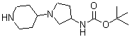 CAS 登录号：903094-57-5， [1-(4-哌啶基)-3-吡咯烷基]氨基甲酸叔丁酯