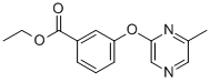 CAS#: 906352-99-6, 3-[(6-Methyl-2-Pyrazinyl)Oxy]-Benzoic Acid Ethyl Ester