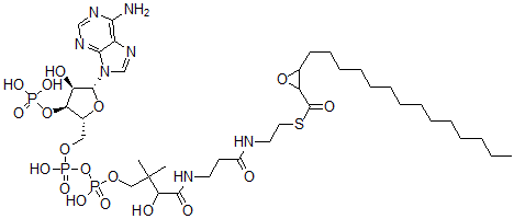 CAS#: 92142-38-6, 2-Tetradecylglycidyl-Coenzyme A