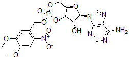 CAS#: 92313-25-2, 4,5-Dimethoxy-2-Nitrobenzyl Cyclic Amp