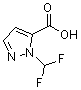 CAS 登录号：925199-97-9， 1-(二氟甲基)-1H-吡唑-5-羧酸