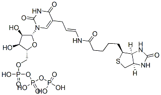 CAS#: 92999-28-5, 5-(N-Biotinyl-3-Aminoallyl)Uridine 5'-Triphosphate