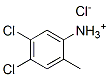 CAS#: 93839-01-1, 4,5-Dichloro-2-Methylanilinium Chloride