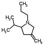CAS 登录号：94956-96-4， 2-异丙基-4-亚甲基-1-丙基吡咯烷