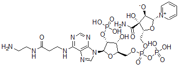 CAS#: 95754-67-9, N(6)-(N-(2-Aminoethyl)Carbamoyl)-NADP
