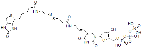 CAS#: 97068-12-7, [[[5-[2,4-Dioxo-5-[(E)-3-[3-[2-[5-(7-Oxo-3-Thia-6,8-Diazabicyclo[3.3.0 ]Oct-2-Yl)Pentanoylamino]Ethyldisulfanyl]Propanoylamino]Prop-1-Enyl]Pyrimidin-1-Yl]-3-Hydroxy-Oxolan-2-Yl]Methoxy-Hydroxy-Phosphoryl]Oxy-Hydroxy-Phosphoryl]Oxyphosphonic Acid