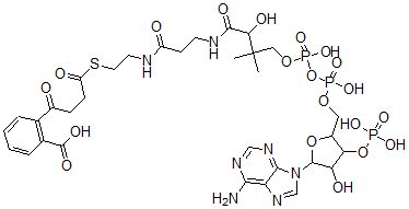 CAS 登录号：97226-61-4， 4-(2'-羧基苯基)-4-氧代丁酰基辅酶 A 酯