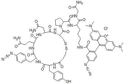 CAS 登录号：97813-21-3， 1-去氨基-(8-若丹明-赖氨酰)-后叶加压素