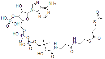CAS#: 97919-43-2, S-Acetyl-3-Mercaptopropanoyl-Coenzyme A