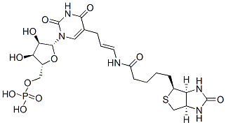 CAS 登录号：97950-37-3， 5-(N-生物素基-3-氨基烯丙基)尿苷 5'-单磷酸酯