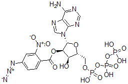 CAS#: 99308-34-6, 3'(2')-O-(2-Nitro-4-Azidobenzoyl)Adenosine 5'-Triphosphate