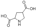 CAS 登录号：99319-03-6， 2,4-吡咯烷二羧酸