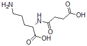 CAS 登录号：99590-80-4， N(2)-丁二酰基鸟氨酸