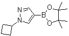 structure of CAS# 1002309-48-9, 1-Cyclobutyl-1H-pyrazole-4-boronic acid pinacol ester