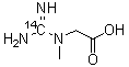 CAS 登录号：100482-07-3, N-(氨基亚胺甲基-<sup>14</sup>C)-N-甲基甘氨酸