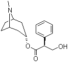 structure of CAS# 101-31-5, L-Hyoscyamine