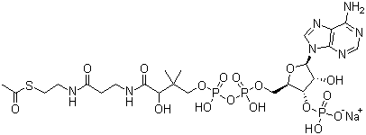 Acetyl coenzyme A sodium salt molecular structure (CAS 102029-73-2)