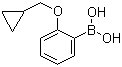structure of CAS# 1050510-36-5, 2-(Cyclopropylmethoxy)phenylboronic acid