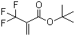 tert-Butyl 2-(trifluoromethyl)acrylate molecular structure (CAS 105935-24-8)