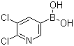 structure of CAS# 1072944-15-0, 2,3-Dichloropyridine-5-boronic acid