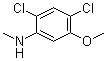 CAS # 1072945-55-1, 2,4-Dichloro-5-methoxy-N-methylbenzenamine