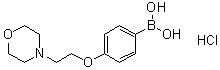 structure of CAS# 1072945-74-4, [4-[2-(4-吗啉基)乙氧基]苯基]硼酸盐酸盐