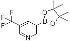 structure of CAS# 1084953-47-8, 5-Trifluoromethylpyridine-3-boronic acid pinacol ester