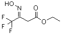CAS # 110411-61-5, 4,4,4-Trifluoro-3-(hydroxyimino)butanoic acid ethyl ester