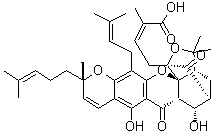 CAS # 1164201-85-7, 10alpha-Hydroxyepigambogic acid