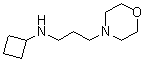 CAS # 1170233-42-7, N-Cyclobutyl-4-morpholinepropanamine