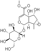Sesamoside molecular structure (CAS 117479-87-5)