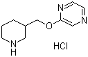 2-(3-Piperidinylmethoxy)pyrazine hydrochloride molecular structure (CAS 1185309-79-8)