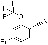 structure of CAS# 1187983-97-6, 4-Bromo-2-(trifluoromethoxy)benzonitrile