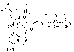 CAS # 120360-48-7, 2',3'-O-(2,4,6-Trinitro-2,5-cyclohexadien-1-ylidene)adenosine 5'-(tetrahydrogen triphosphate)